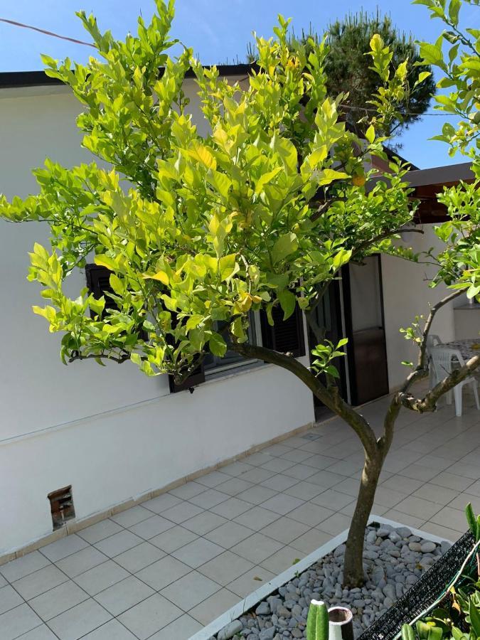Quirino Residence Gaeta Eksteriør bilde